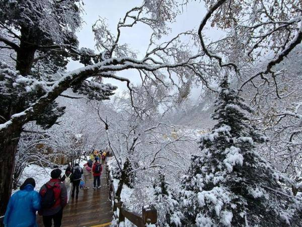 四川多景区解锁雪景模式，今年冬天来得这么早吗？