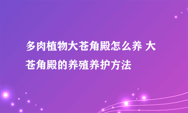 多肉植物大苍角殿怎么养 大苍角殿的养殖养护方法