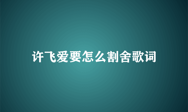 许飞爱要怎么割舍歌词