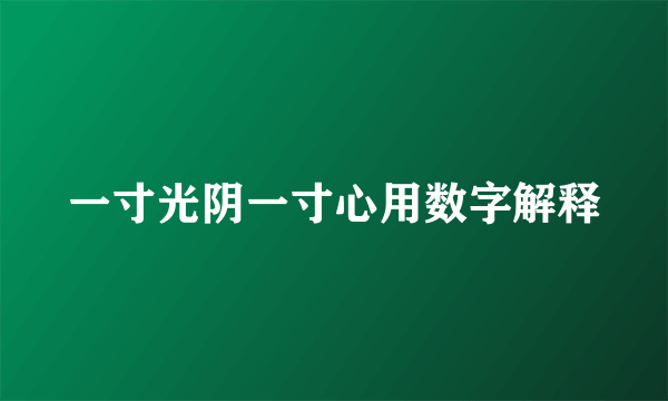 一寸光阴一寸心用数字解释