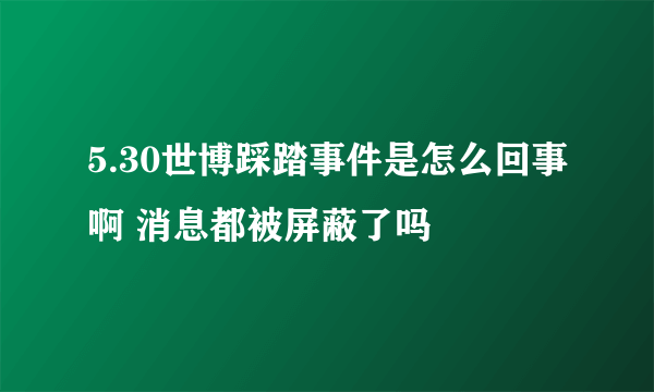 5.30世博踩踏事件是怎么回事啊 消息都被屏蔽了吗