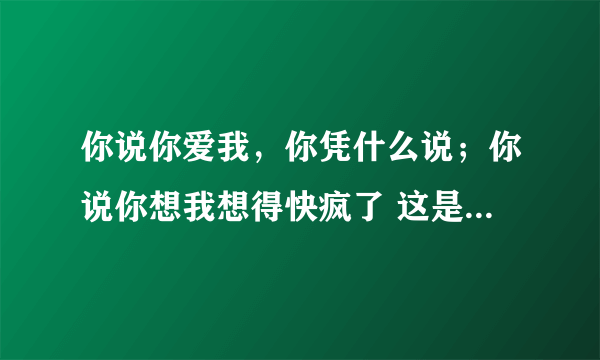 你说你爱我，你凭什么说；你说你想我想得快疯了 这是哪首歌的歌词