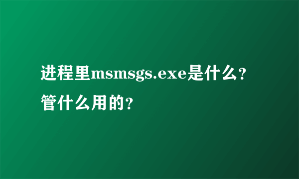 进程里msmsgs.exe是什么？管什么用的？