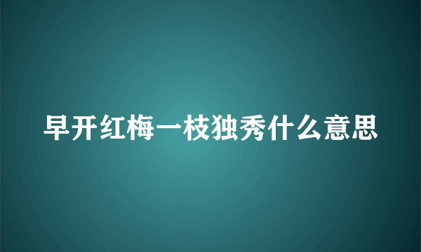 早开红梅一枝独秀什么意思