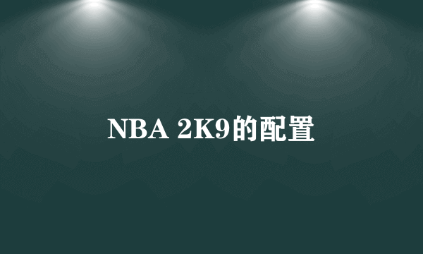 NBA 2K9的配置