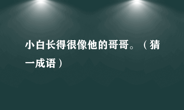 小白长得很像他的哥哥。（猜一成语）