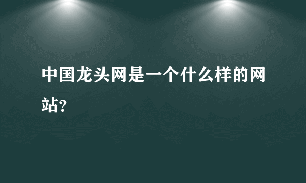 中国龙头网是一个什么样的网站？