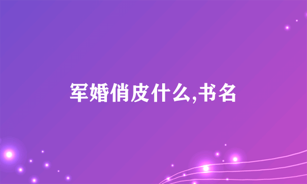 军婚俏皮什么,书名