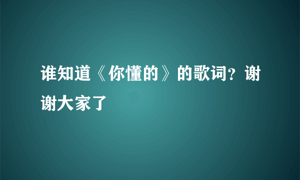 谁知道《你懂的》的歌词？谢谢大家了