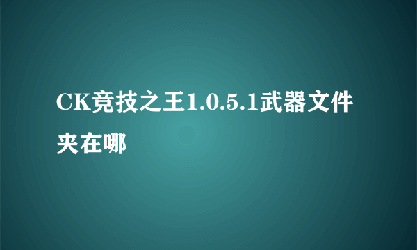 CK竞技之王1.0.5.1武器文件夹在哪