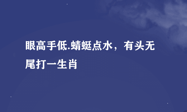 眼高手低.蜻蜓点水，有头无尾打一生肖