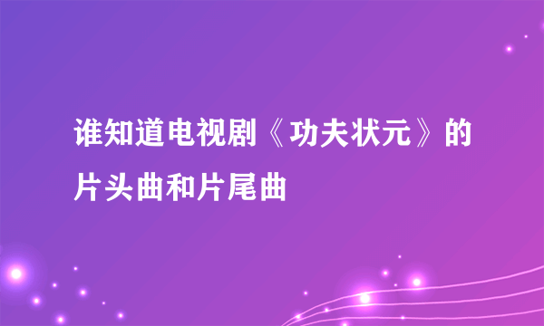 谁知道电视剧《功夫状元》的片头曲和片尾曲