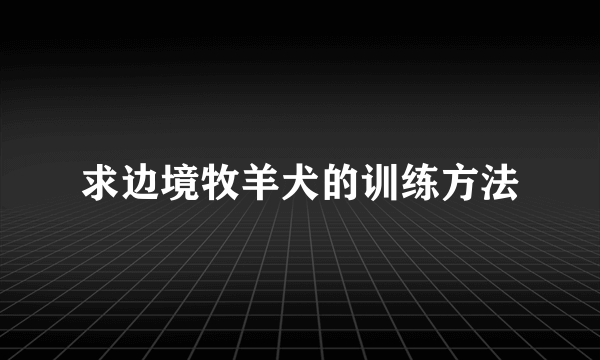 求边境牧羊犬的训练方法