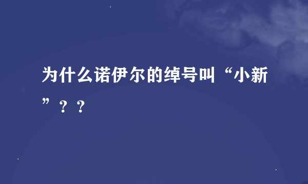 为什么诺伊尔的绰号叫“小新”？？