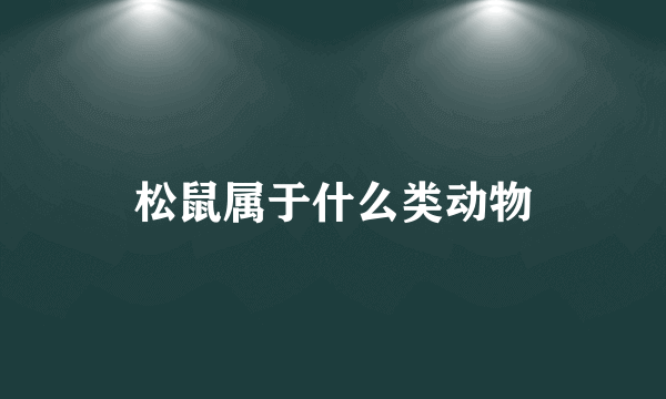 松鼠属于什么类动物