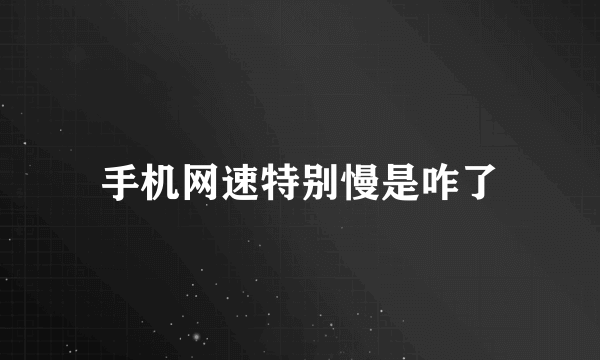 手机网速特别慢是咋了