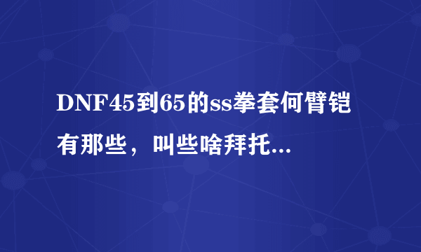 DNF45到65的ss拳套何臂铠有那些，叫些啥拜托各位大神