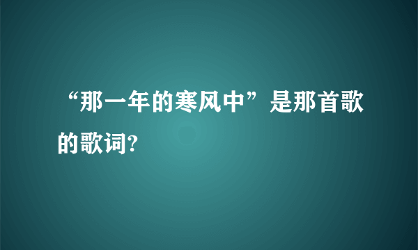 “那一年的寒风中”是那首歌的歌词?