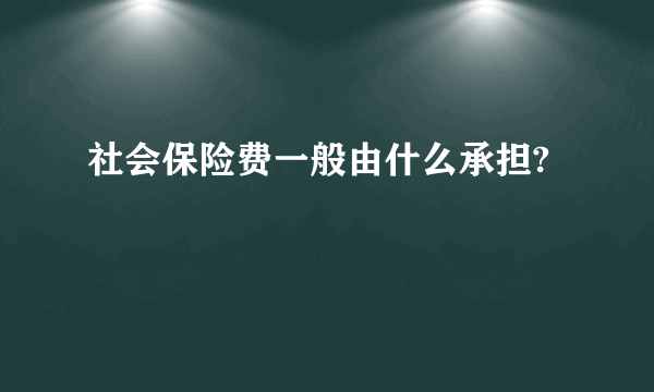 社会保险费一般由什么承担?