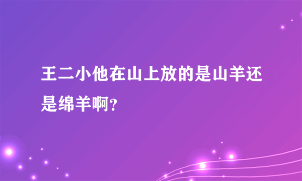 王二小他在山上放的是山羊还是绵羊啊？