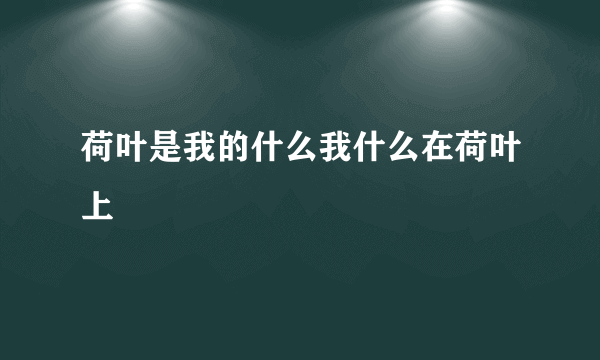 荷叶是我的什么我什么在荷叶上