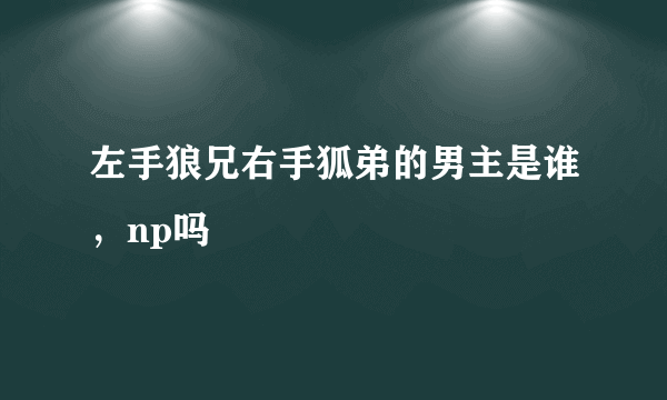 左手狼兄右手狐弟的男主是谁，np吗