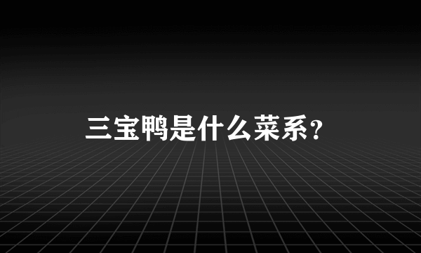 三宝鸭是什么菜系？