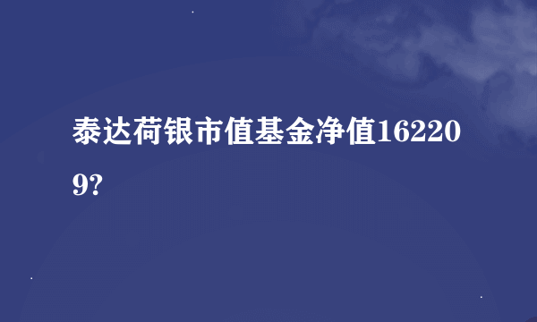 泰达荷银市值基金净值162209?