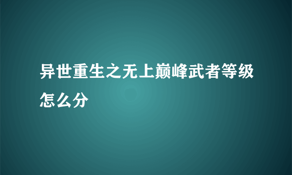 异世重生之无上巅峰武者等级怎么分