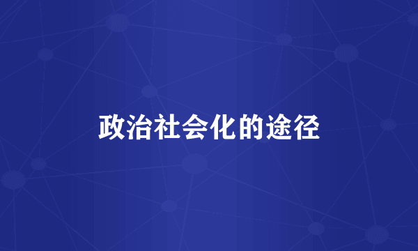 政治社会化的途径