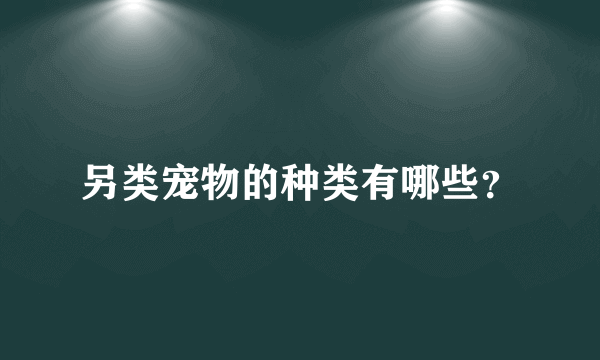 另类宠物的种类有哪些？