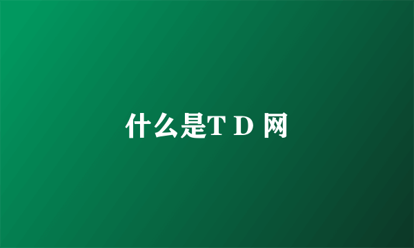 什么是T D 网