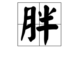 “月”字旁的字和什么有关？