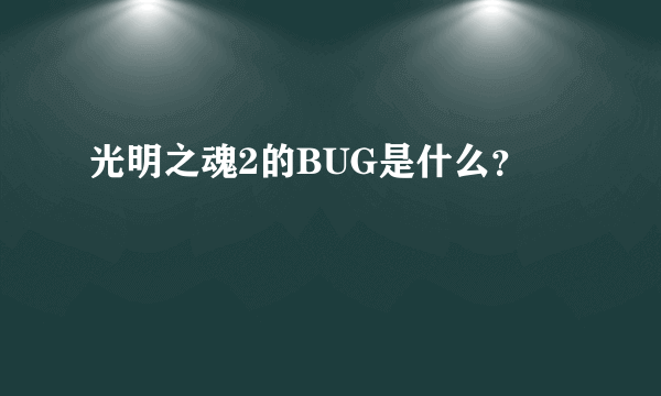 光明之魂2的BUG是什么？