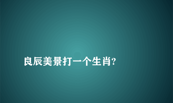 
良辰美景打一个生肖?

