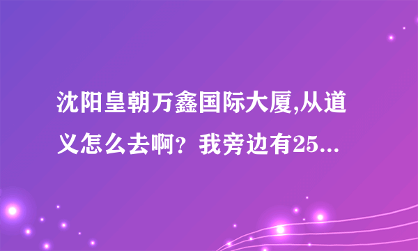 沈阳皇朝万鑫国际大厦,从道义怎么去啊？我旁边有255，236，157，381，