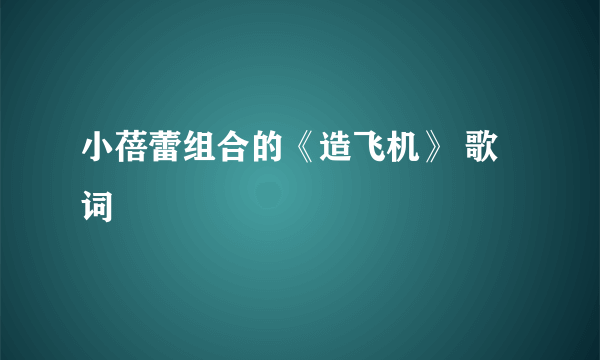 小蓓蕾组合的《造飞机》 歌词