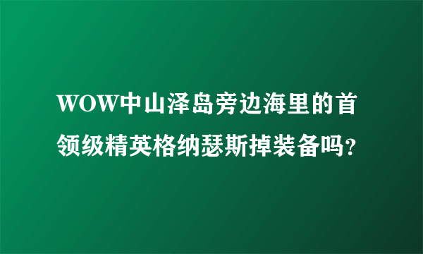 WOW中山泽岛旁边海里的首领级精英格纳瑟斯掉装备吗？