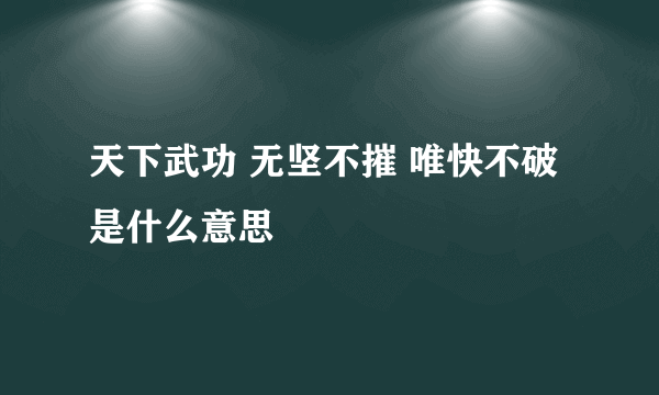 天下武功 无坚不摧 唯快不破 是什么意思