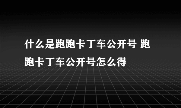 什么是跑跑卡丁车公开号 跑跑卡丁车公开号怎么得