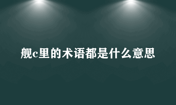 舰c里的术语都是什么意思