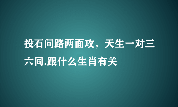 投石问路两面攻，天生一对三六同.跟什么生肖有关