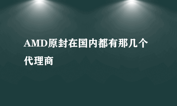 AMD原封在国内都有那几个代理商