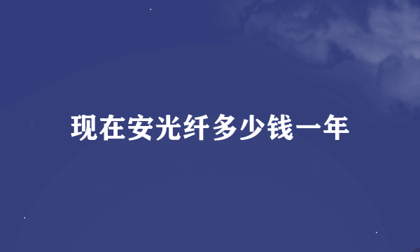 现在安光纤多少钱一年