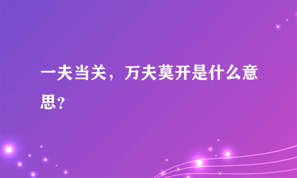 一夫当关，万夫莫开是什么意思？