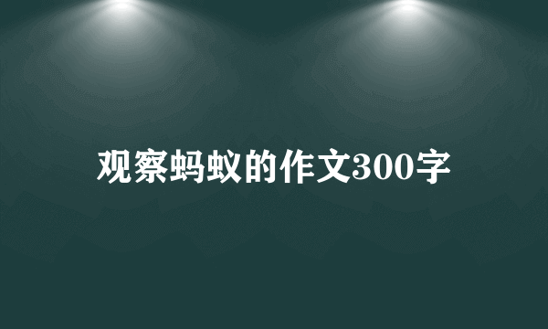 观察蚂蚁的作文300字