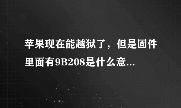 苹果现在能越狱了，但是固件里面有9B208是什么意思，现在还能恢复到9B206的固件吗？这个GSM的版本有不同吗