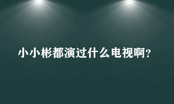 小小彬都演过什么电视啊？