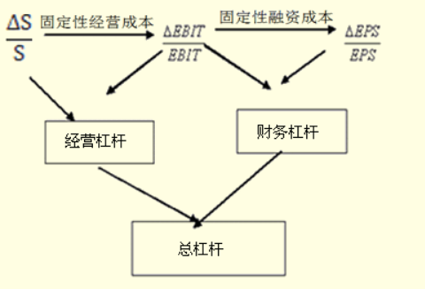 dfl是什么意思的缩写？