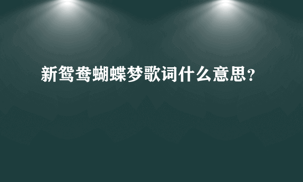 新鸳鸯蝴蝶梦歌词什么意思？